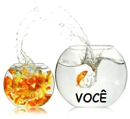 Peixe no seu próprio Aquário