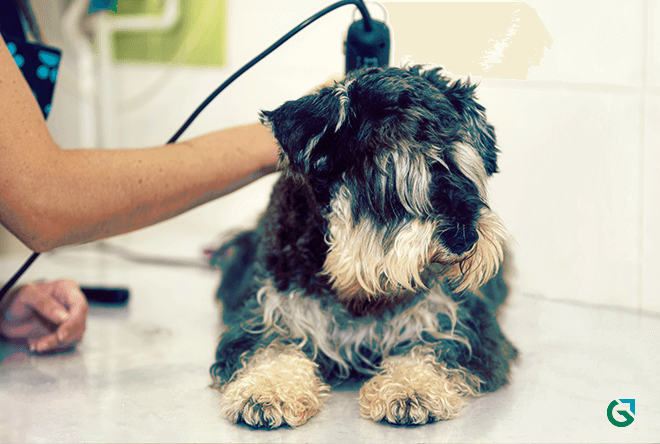 1583792059 banhoetosa