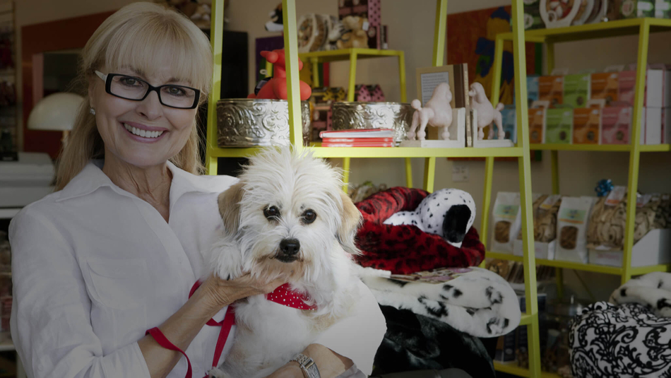 Gestão para Pet Shops